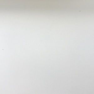 Meet your Posher, Rory